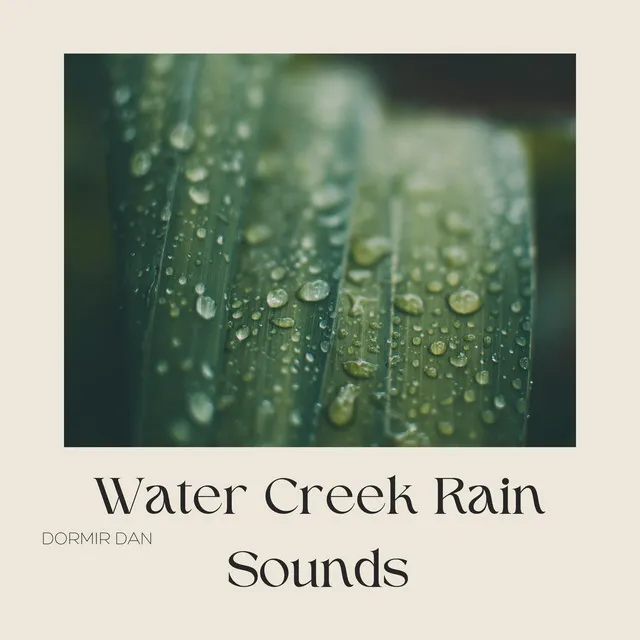 Water Creek Rain Sounds