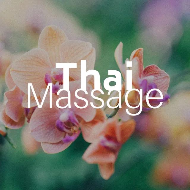 Thai Massage - Wellness mit Massage, Ganzkörpermassage, Entspannungsmassage, Schröpfmassage, Nackenmassage