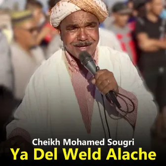 Ya Del Weld Alache by Cheikh Mohamed Sougri