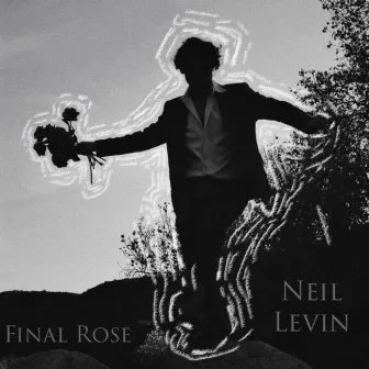 Final Rose by Neil Levin