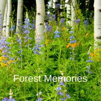 Forest Memories by Thunderbound Productions