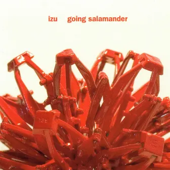 Going Salamander by Izu