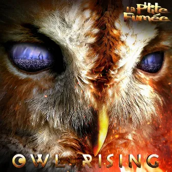 Owl Rising by La P'tite Fumée