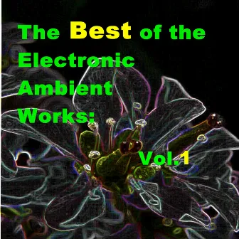 The Best of the Electronic Ambient Works: Vol.1 by Ao Nang