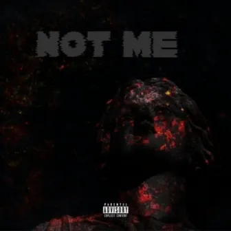 NOT ME by Gwalla Donn