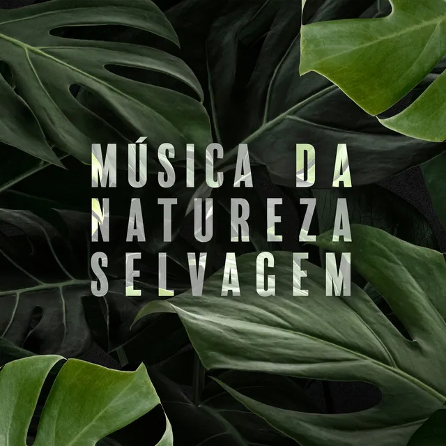 Música da Natureza Selvagem: Relaxamento Exótico com Sons de Animais