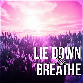 Lie Down & Breathe - Soothing Flute Music for Massage, Relaxation & Leisure, Reiki & SPA by Relaxation Academy