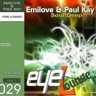 Soul Deep by Paul Kay