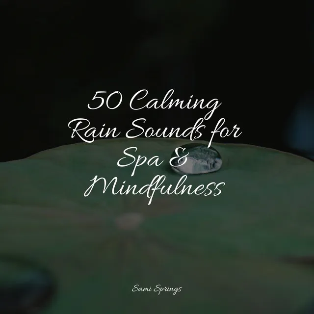 50 Calming Rain Sounds for Spa & Mindfulness