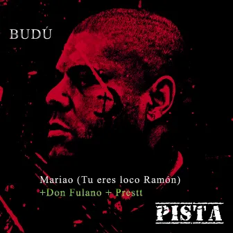 Mariao (Tu Eres Loco Ramon) by Budu