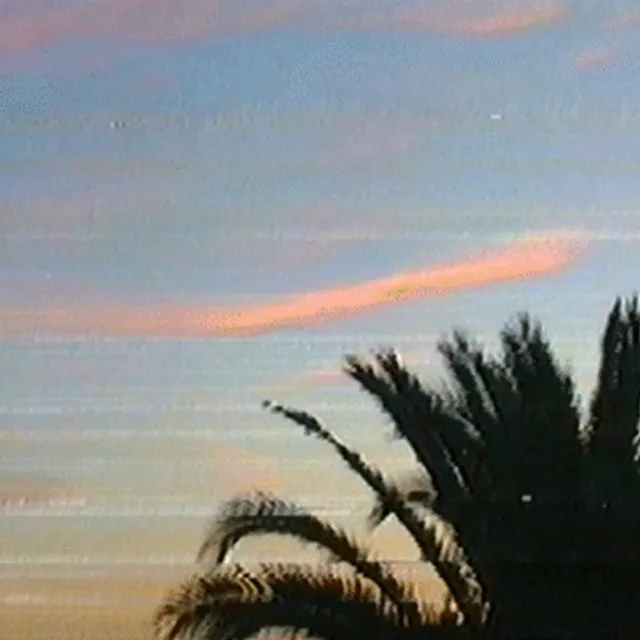 Palmera.