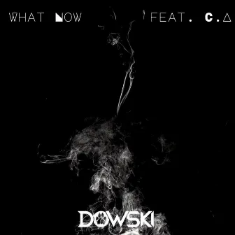 What Now by Dowski