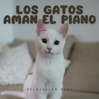 Los Gatos Aman El Piano: Relajación Pura by Relajación del gato