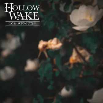 Loss Surrounds by Hollow Wake