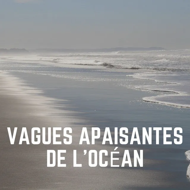 Vagues Apaisantes de L'océan