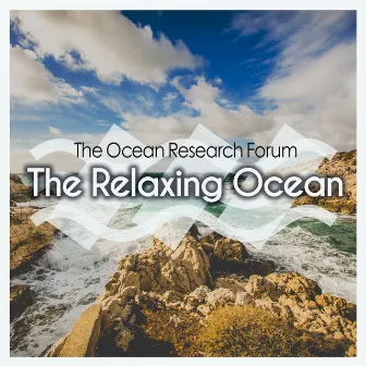 The Relaxing Ocean by Unknown Artist