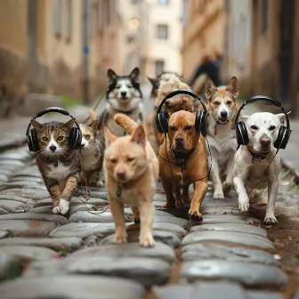 Chill Music for Pets' Play: Energetic Tunes by 