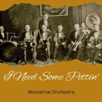 I Need Some Pettin' by Wolverine Orchestra