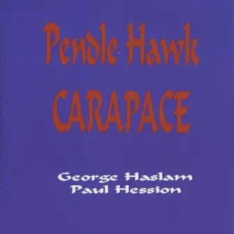 Pendle Hawk Carapace by Paul Hession