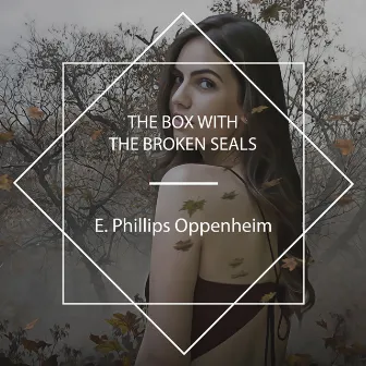 The Box with the Broken Seals by Richard Kilmer