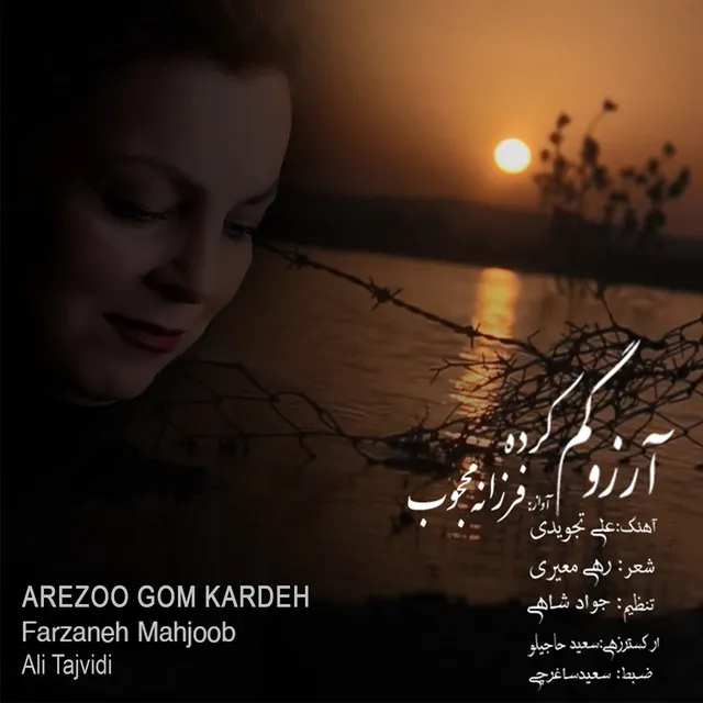 Arezoo Gom Kardeh