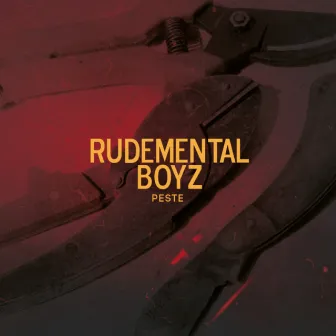 Rudemental Boyz by Peste MC