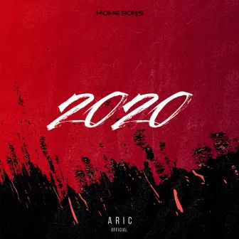 2020 by Aric