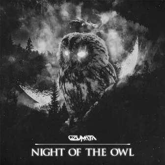 Night of the Owl by Ozumata