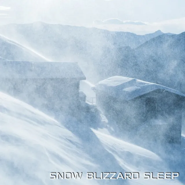 Snow Blizzard Sleep