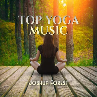 Top Yoga Music by Joshua Forest