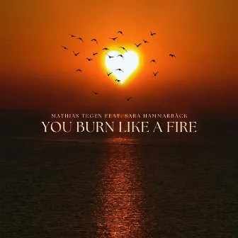 You Burn Like A Fire by Mathias Tegen