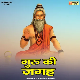 Guru Ki Jagah (Hindi) by Nanak Chand