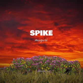 Muguri by Spike