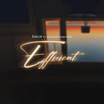 Efficient by Ealle