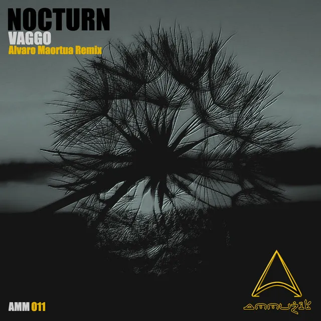 Nocturn - Alvaro Maortua Remix