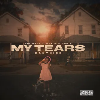 My Tears by Shi Wade