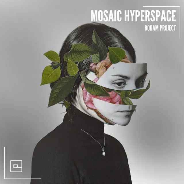 Mosaic Hyperspace