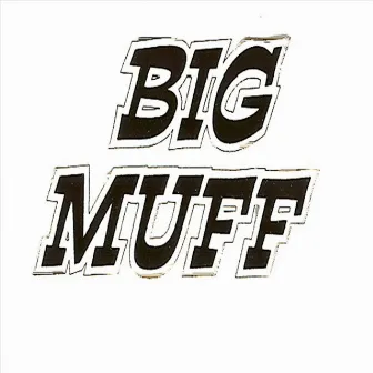 The Theme From Big Muff by Big Muff