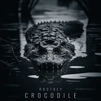 Crocodile by Rootkey