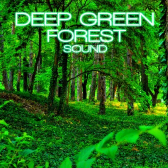 Deep Green Forest Sound by Discovery Nature Soundscapes