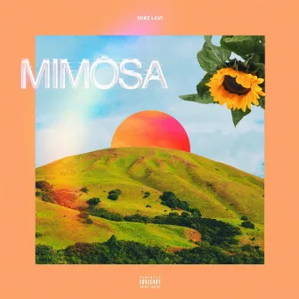 Mimosa by Mike Lavi