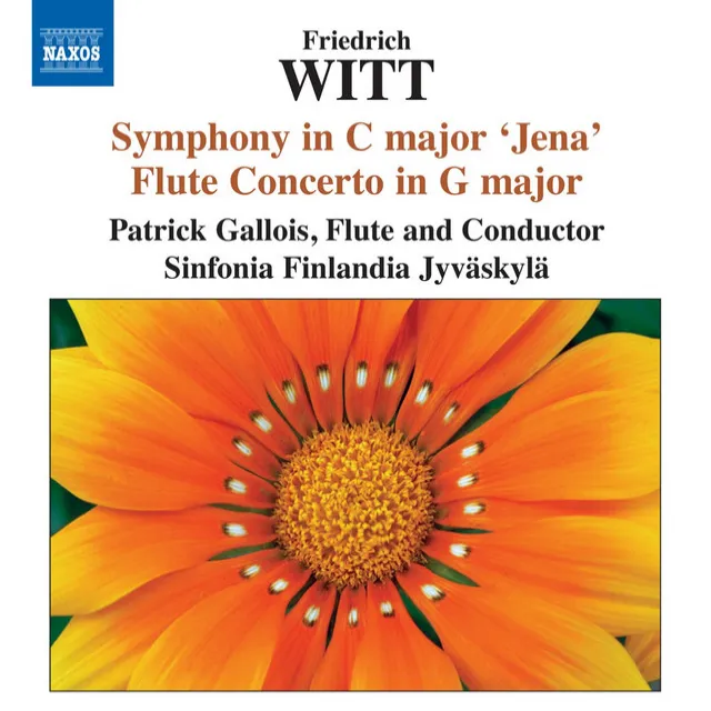 Symphony in C Major, "Jena": IV. Finale. Allegro