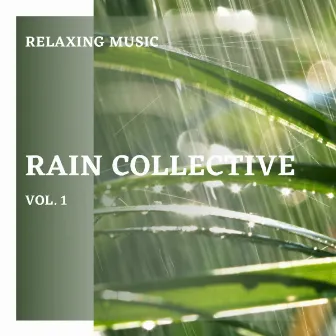 Rain Collective vol. 1 by Nature Vibrations