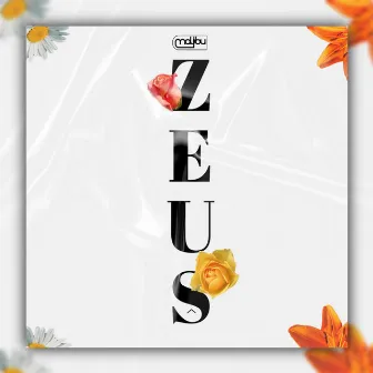 Zeus by DJ Malibu