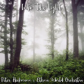 Into The Light by Ethnic World Orchestra