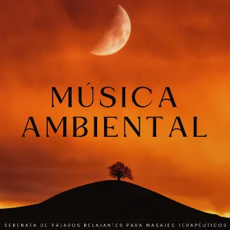 Música Ambiental: Serenata De Pájaros Relajantes Para Masajes Terapéuticos by Canciones de animales y pájaros