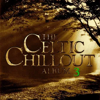 Celtic Chillout, Vol. 3 by Ryan & Rachel O'Donnell