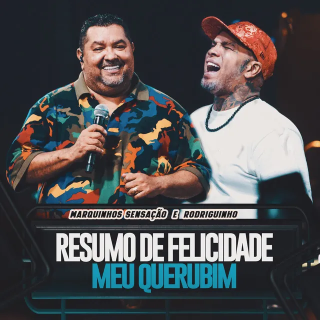 Resumo De Felicidade / Meu Querubim - Ao Vivo