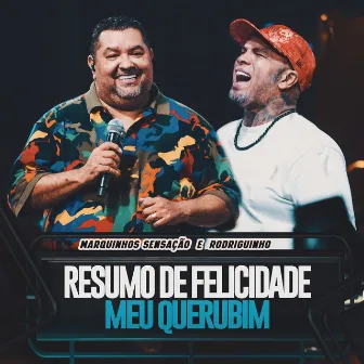 Resumo De Felicidade / Meu Querubim (Ao Vivo) by Marquinhos Sensação