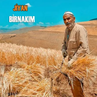 Birnakım by Jiyan